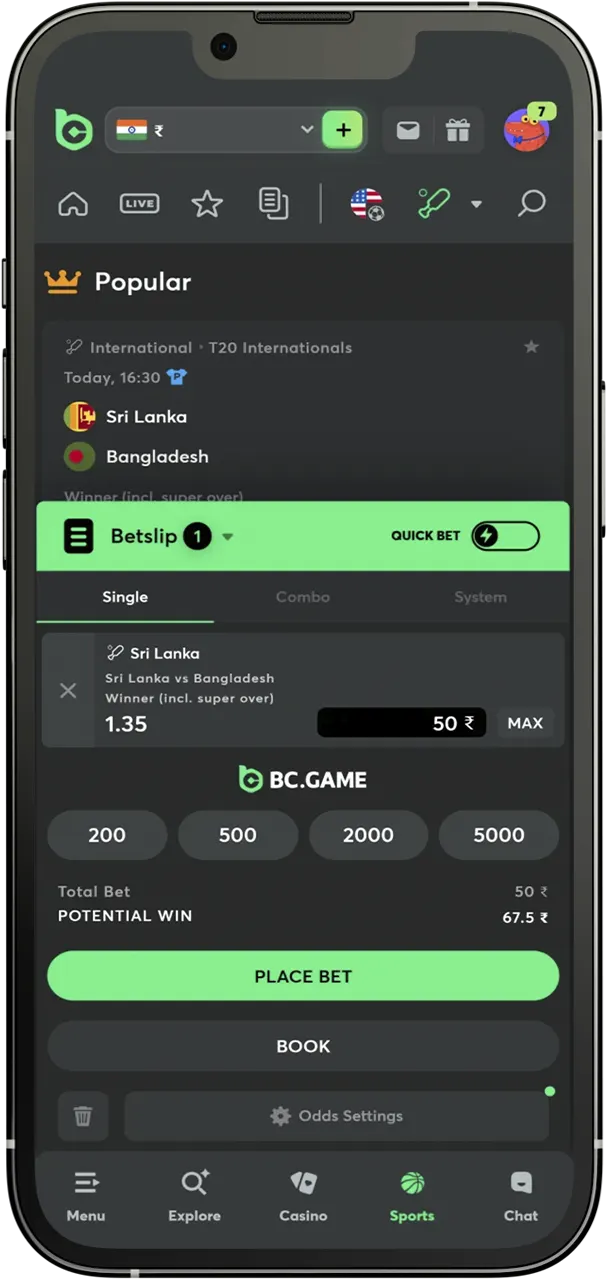 Enter the amount and place your bet at BC Game.